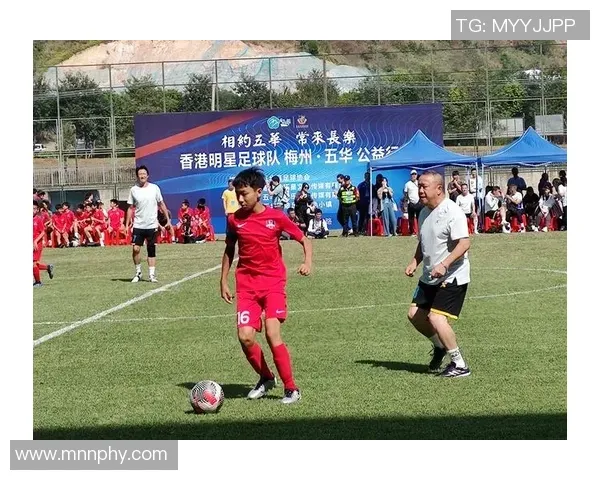 麻将这手牌其实已经死了（这手麻将其实已经没戏了）