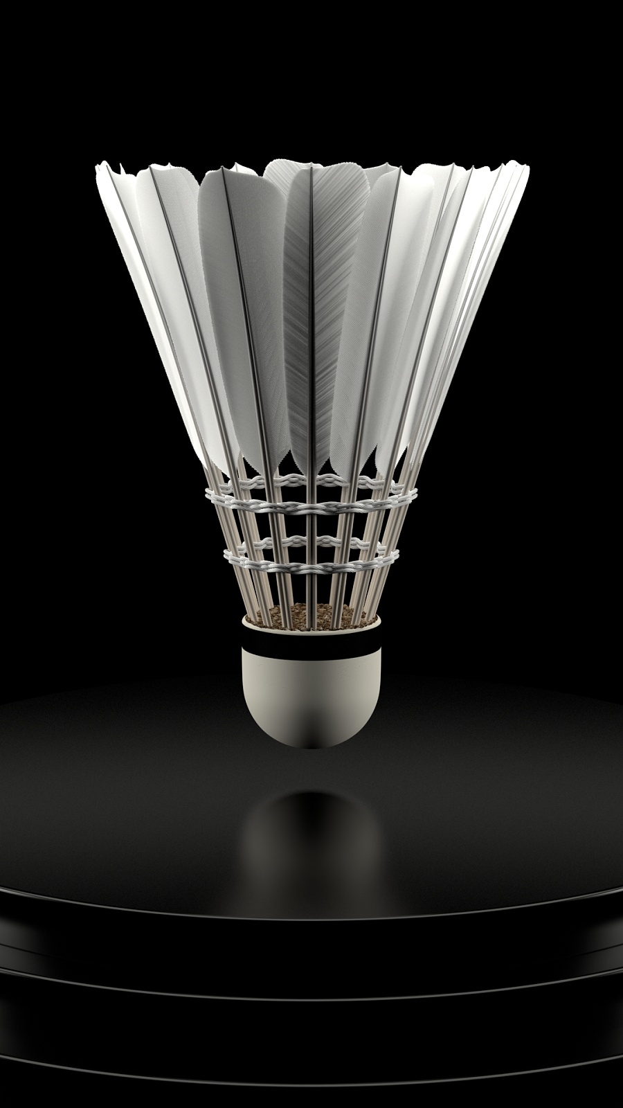 再次闪耀 再次闪耀