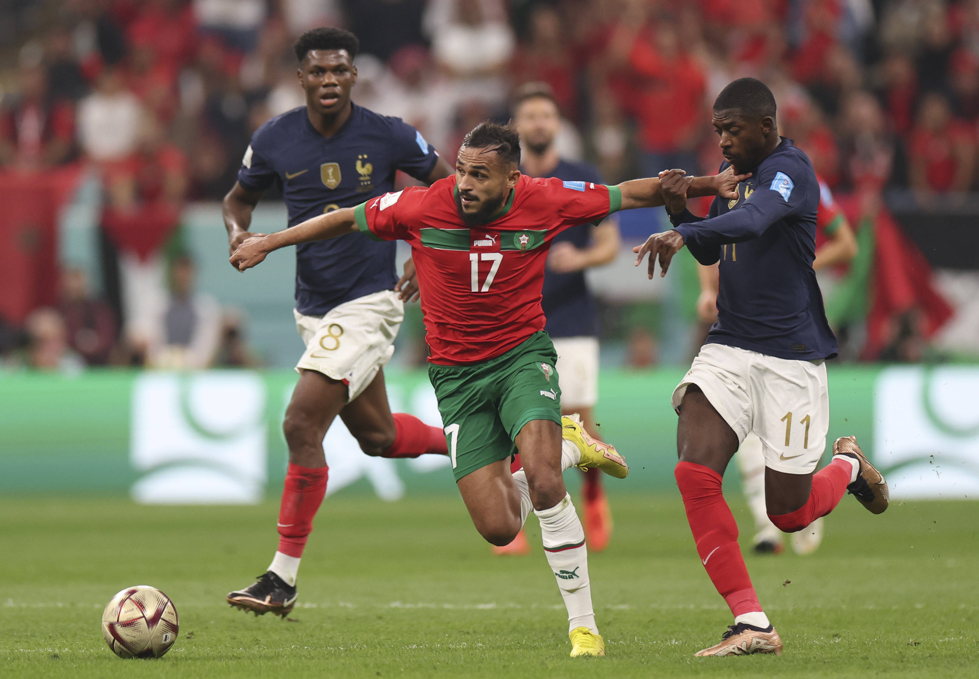 中卫马亚 中卫马亚