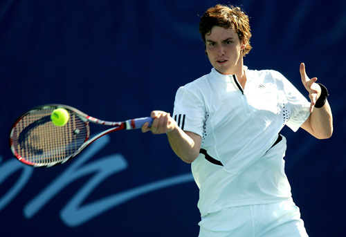 雅的气质 雅的气质